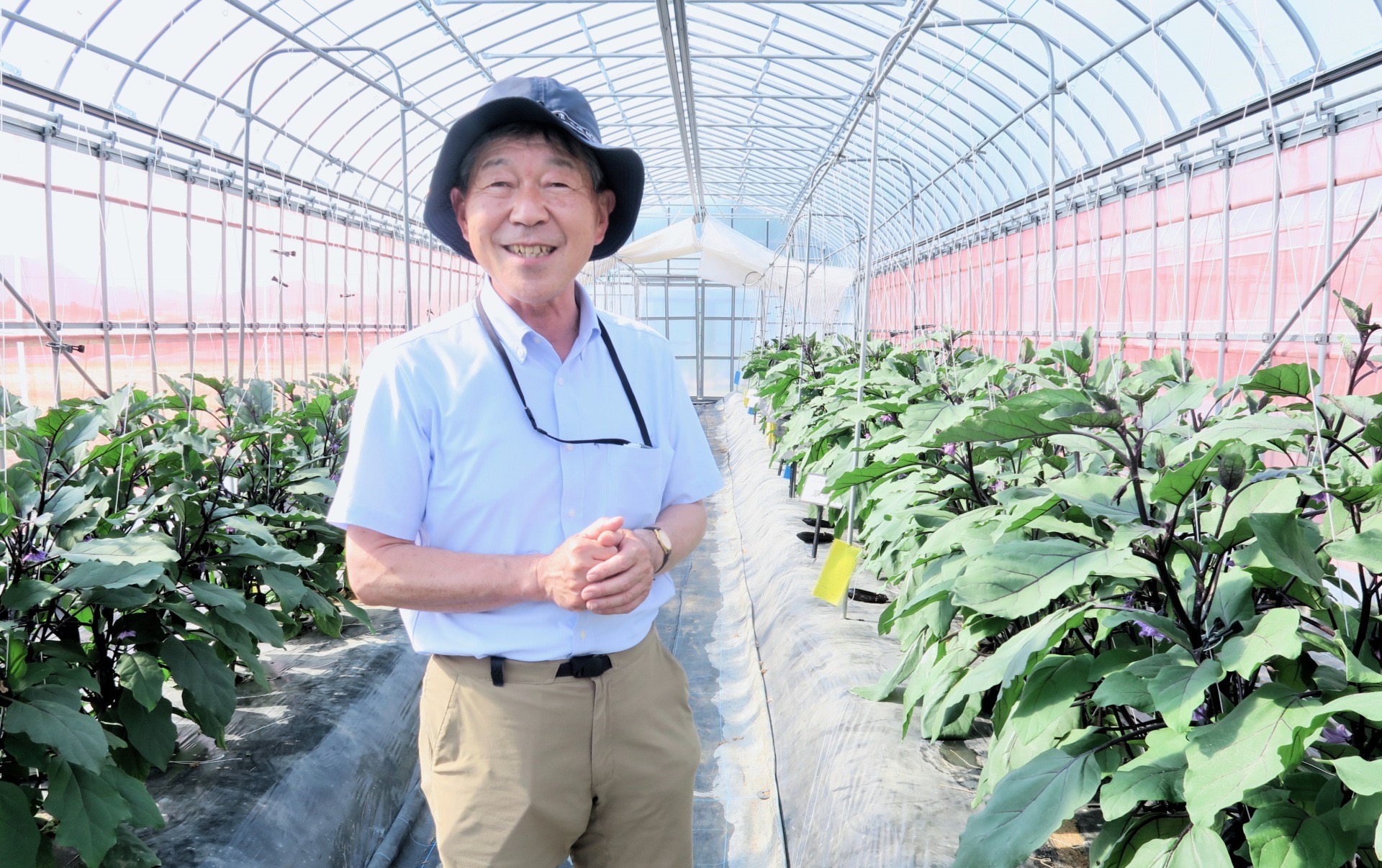 10年がかりでタネを開発！「タキイ種苗」に聞いた「強くて美味しい野菜 